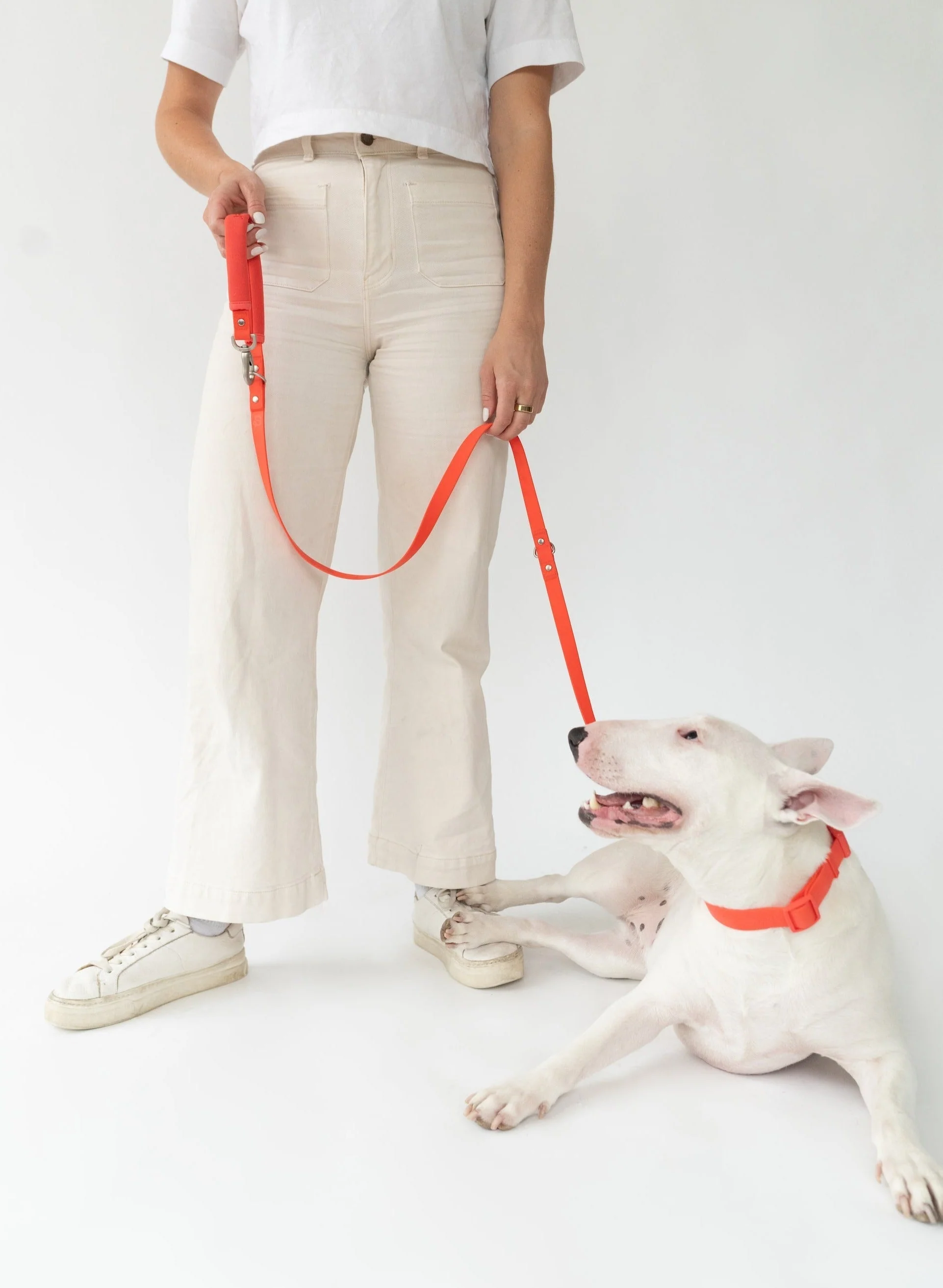 Dog Leash - Image 10