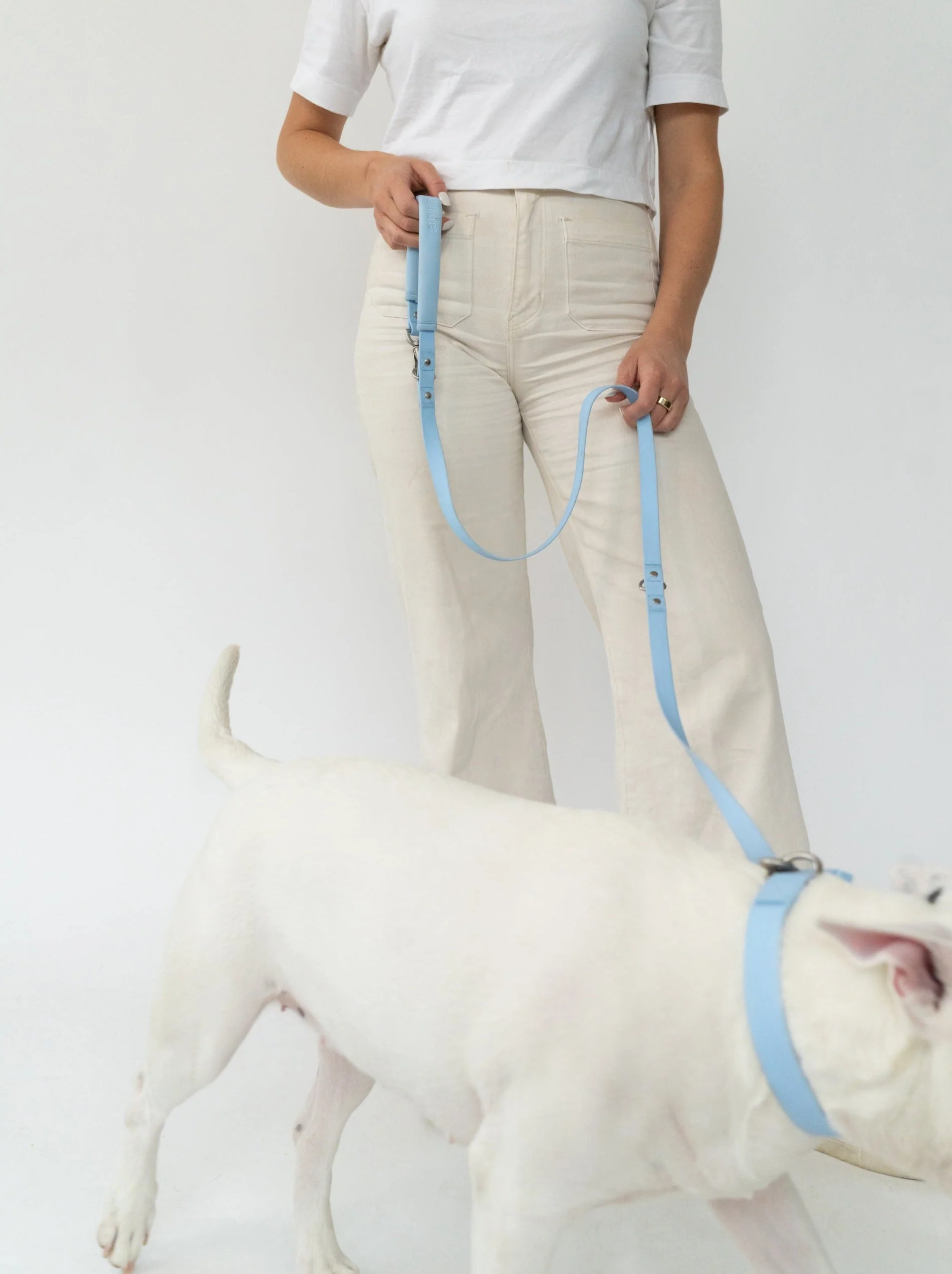Dog Leash - Image 6