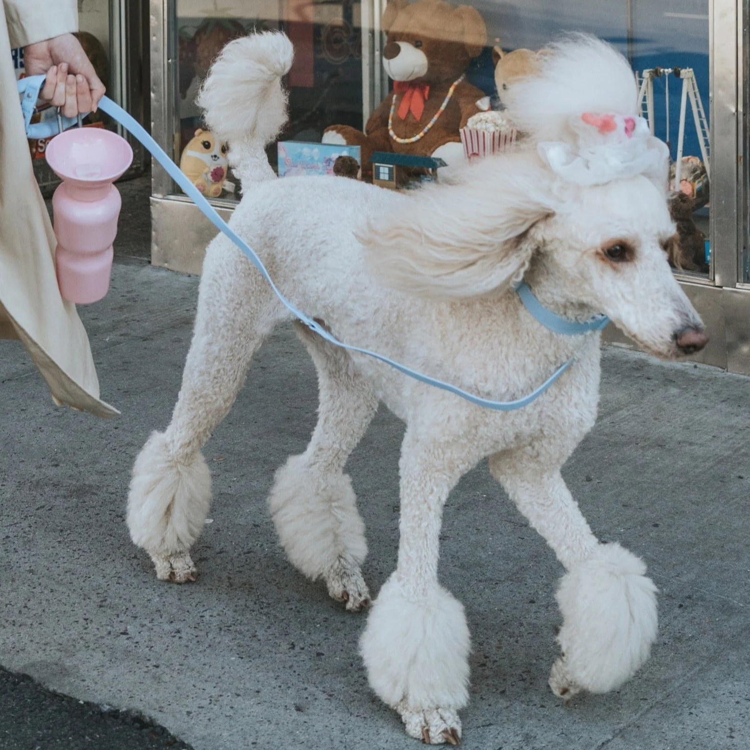 Dog Leash - Image 7