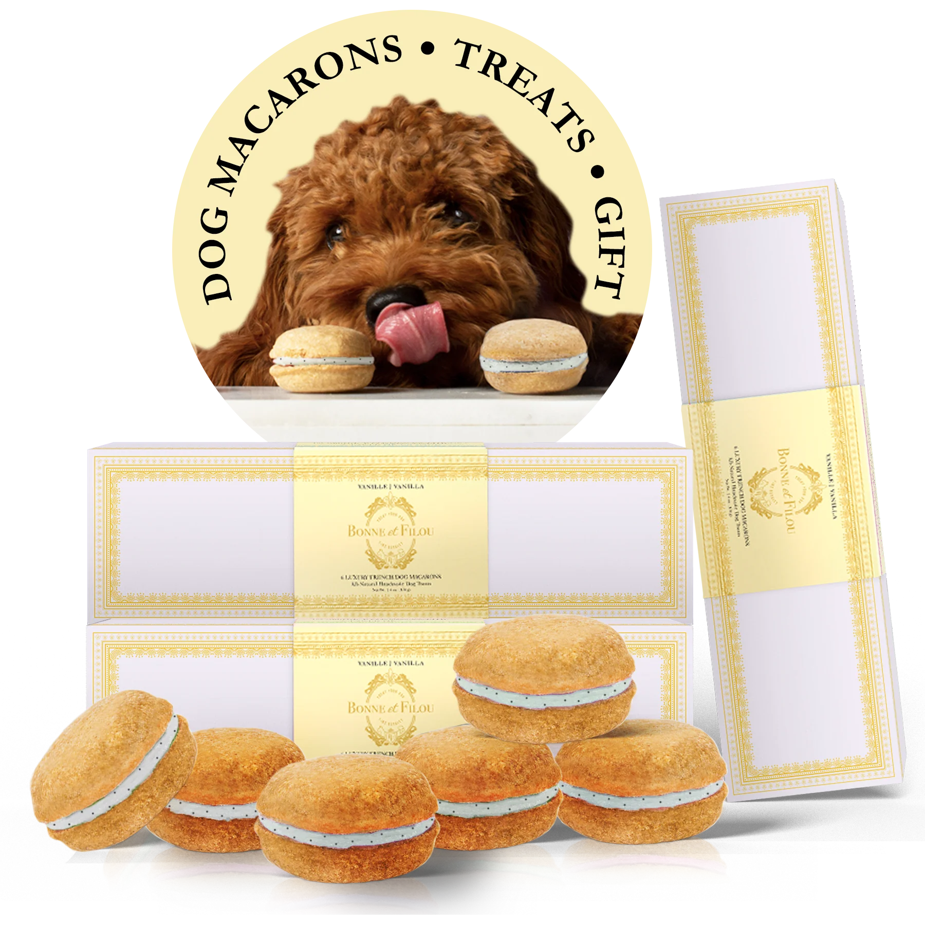 Dog Macaron Club - 6 Months Gift Subscription - Image 13