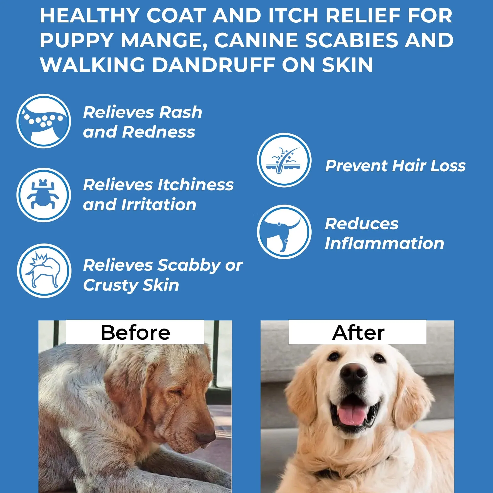 Dog Mange Treatment - Relief for Demodectic and Sarcoptic Mange (Scabies) by BestLife4Pets - Image 4