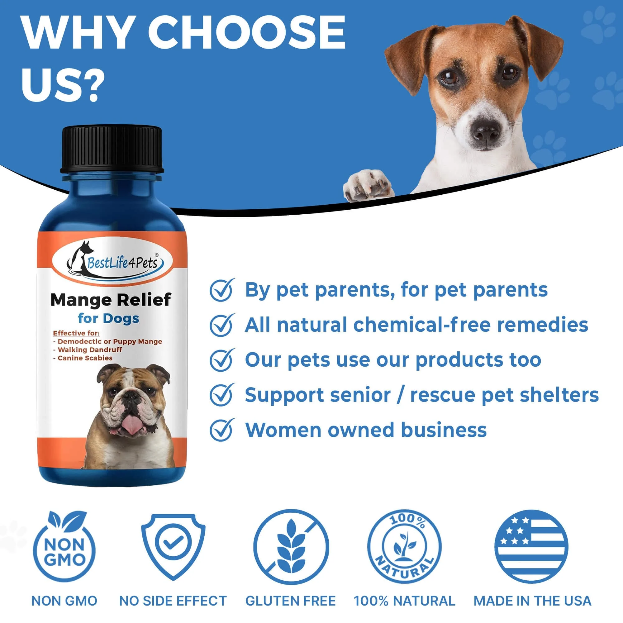 Dog Mange Treatment - Relief for Demodectic and Sarcoptic Mange (Scabies) by BestLife4Pets - Image 8