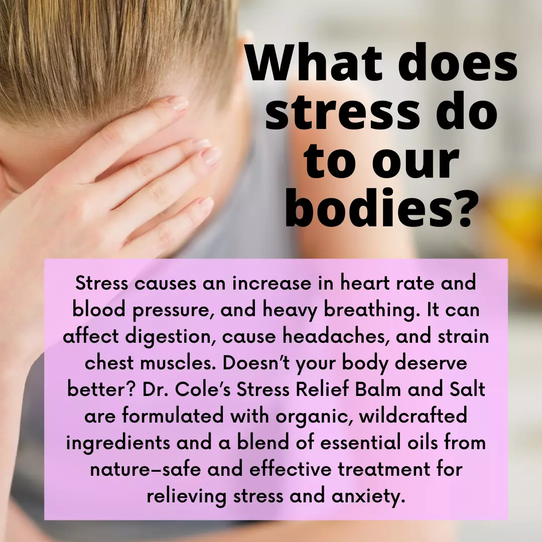 29 - Dr. Coleās Organic Stress Relief Herbal Balm - Image 4