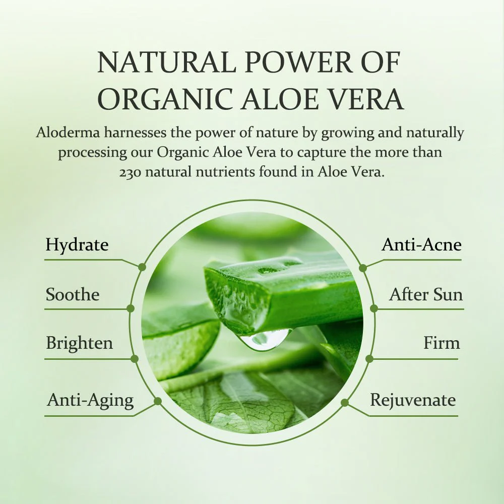 Essential Aloe Hydrating Set - Image 7