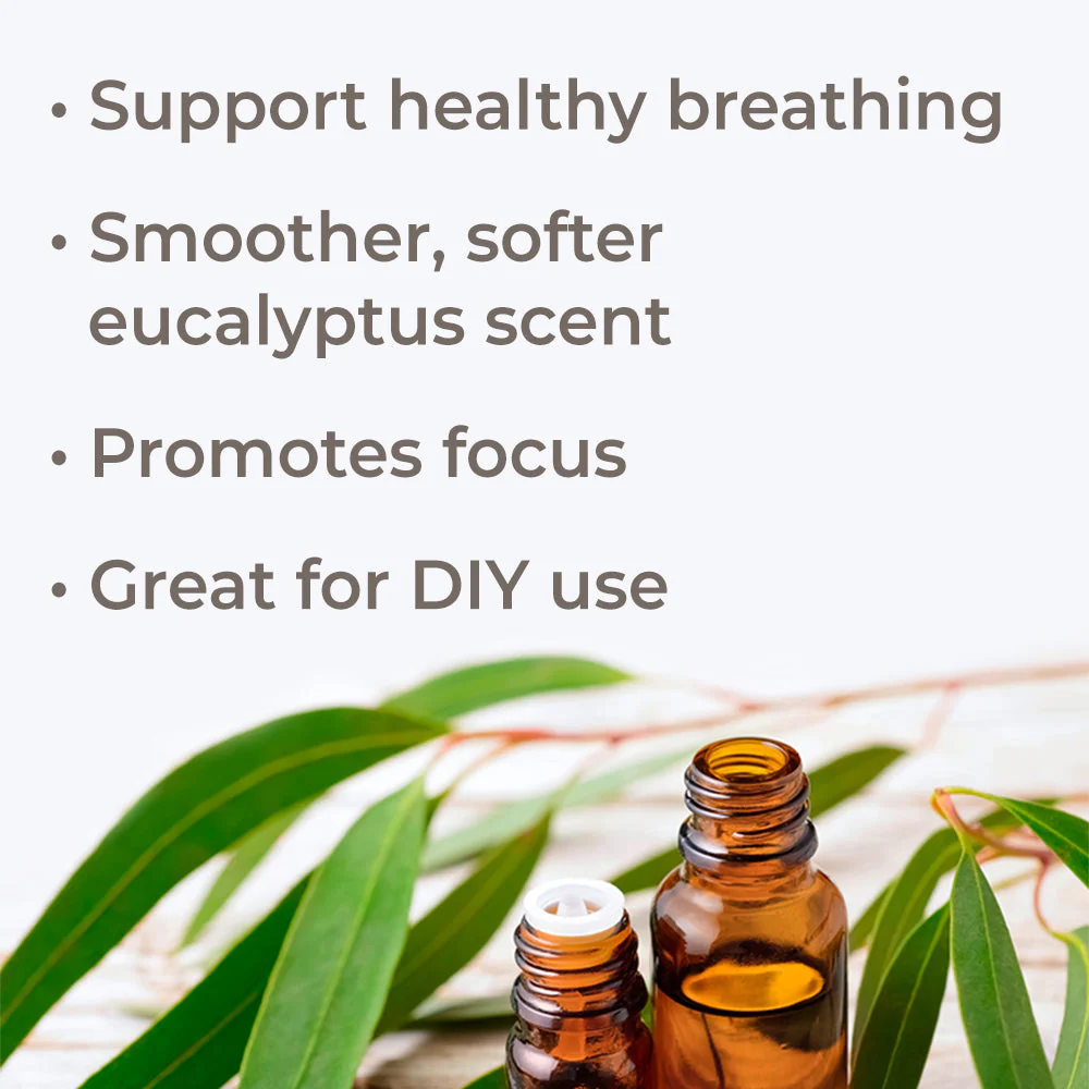 Eucalyptus Radiata Essential Oil - Image 3