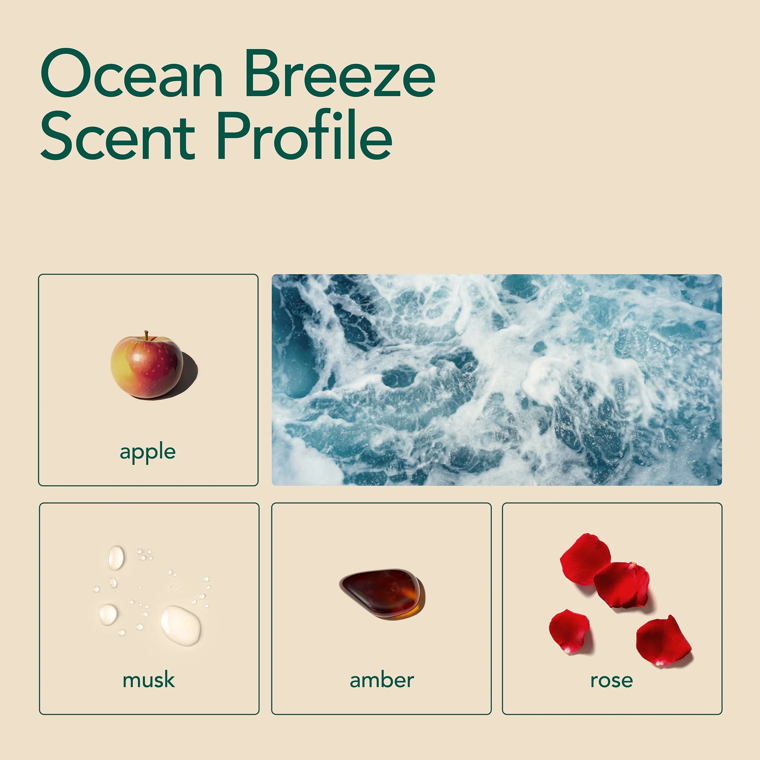 Extra Wash N' Boost - Ocean Breeze - Image 9