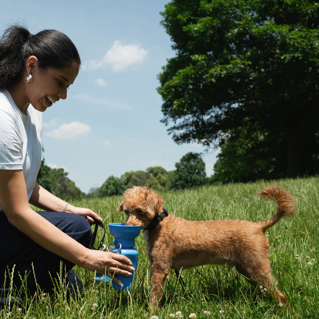 Flip Dog Travel Bottle - Image 9