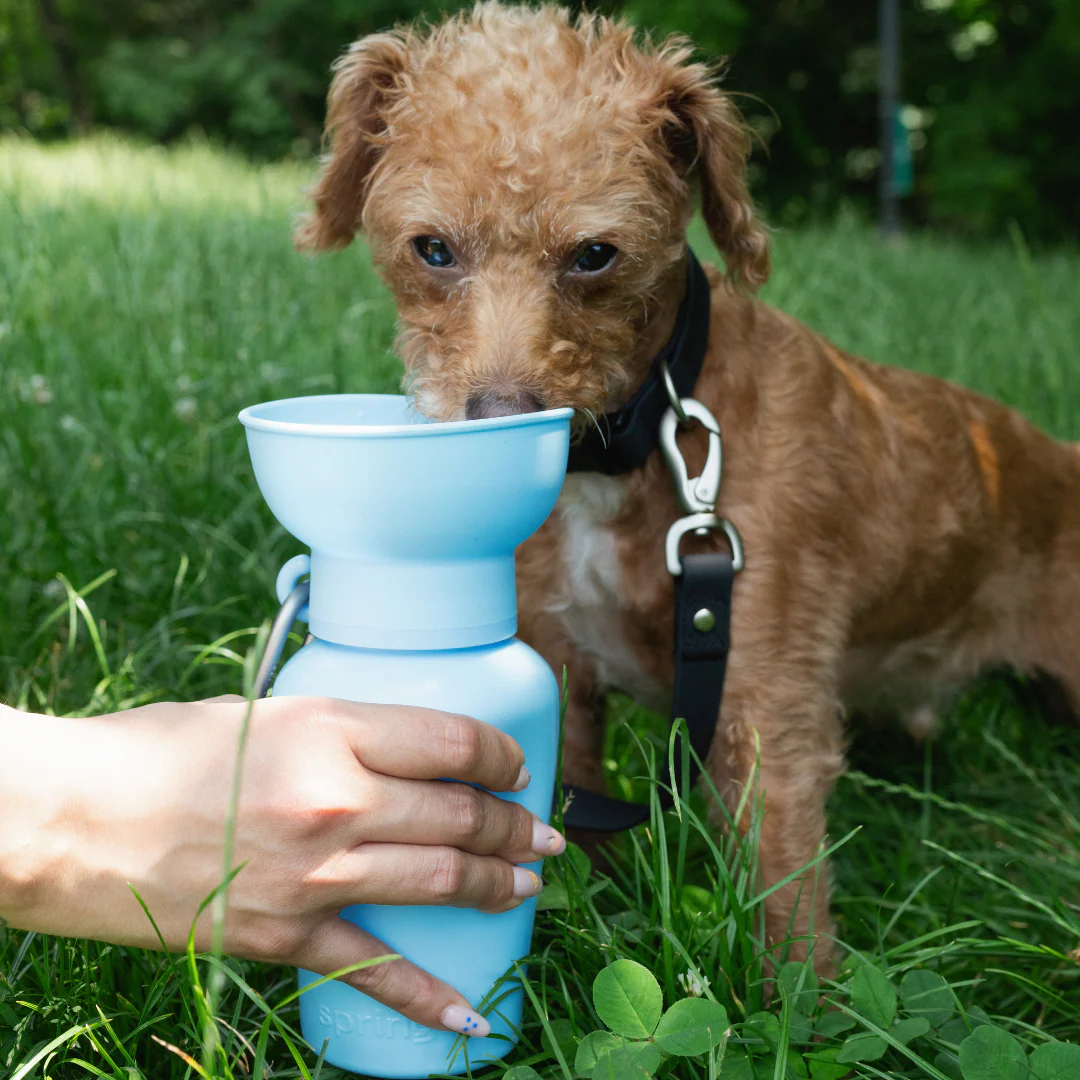 Flip Dog Travel Bottle - Image 20