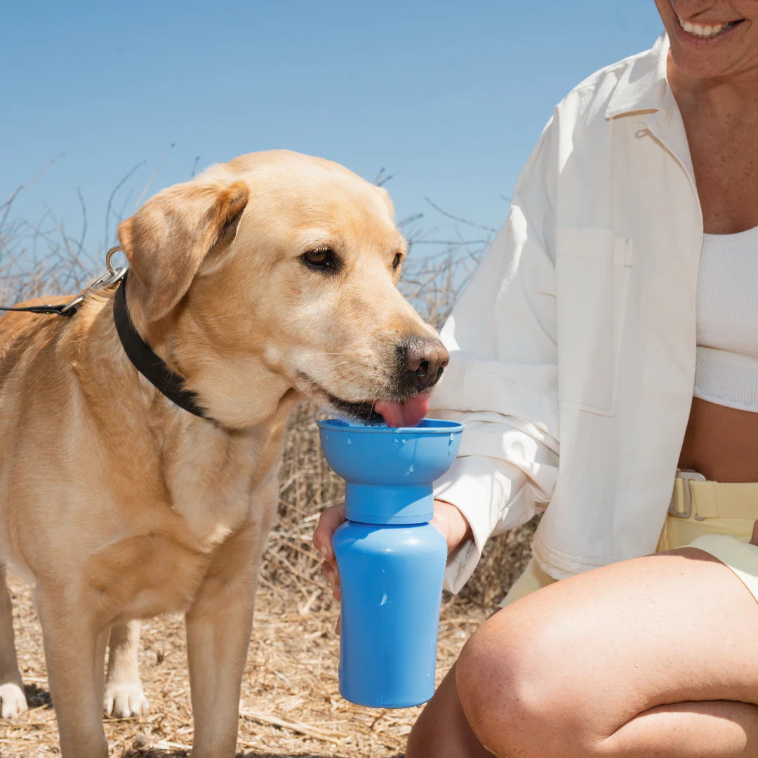 Flip Dog Travel Bottle - Image 5