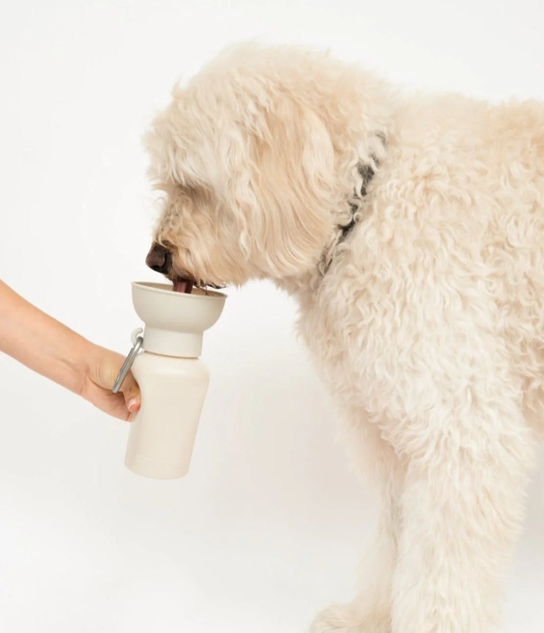 Flip Dog Travel Bottle - Image 11