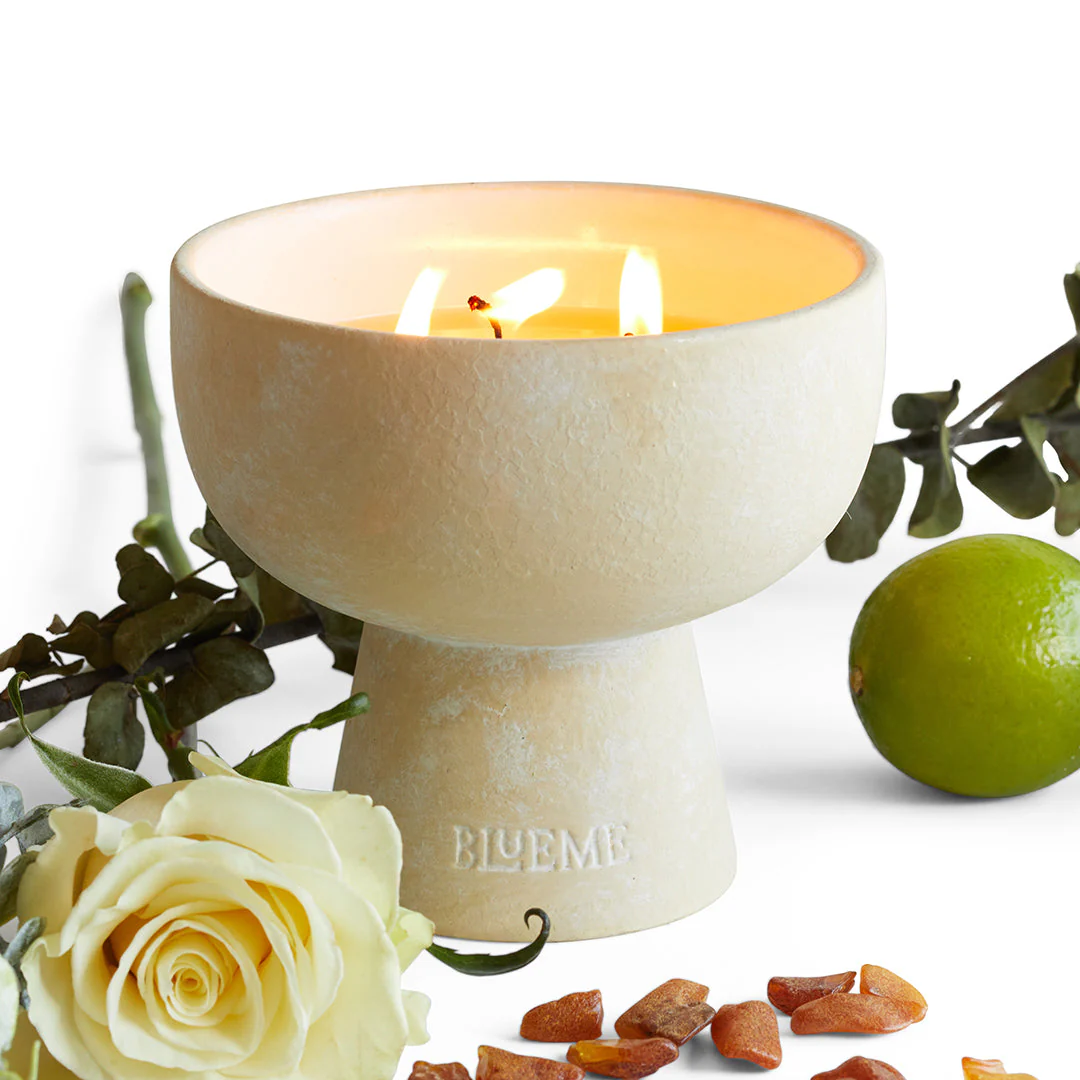 Focus - Ceramic Refillable Candle - Eucalyptus & Lime - Image 2