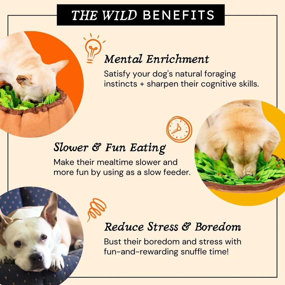 Forage Frenzy Snuffle Mat Interactive Toy for Dogs - Image 7