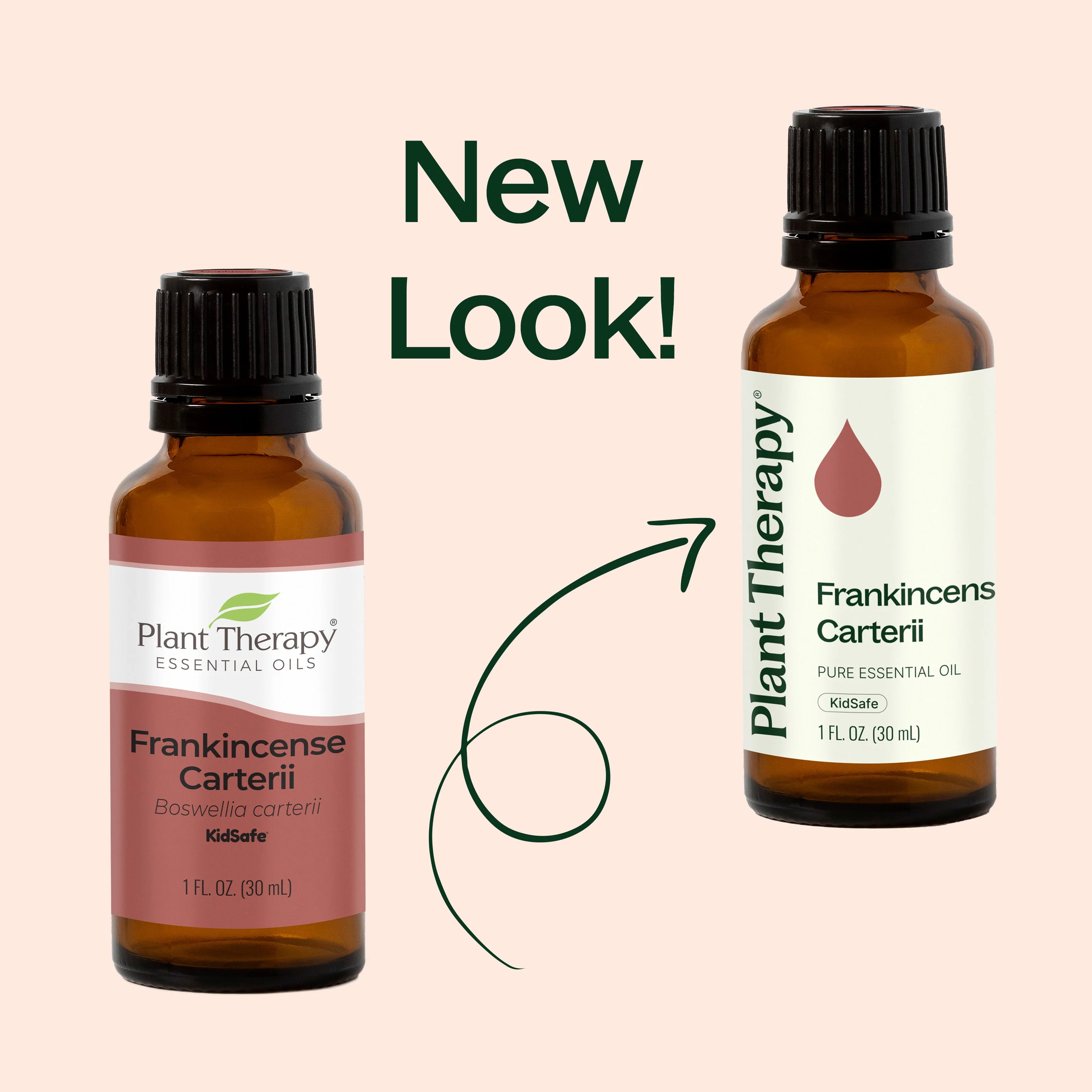 Frankincense Carterii Essential Oil - Image 7
