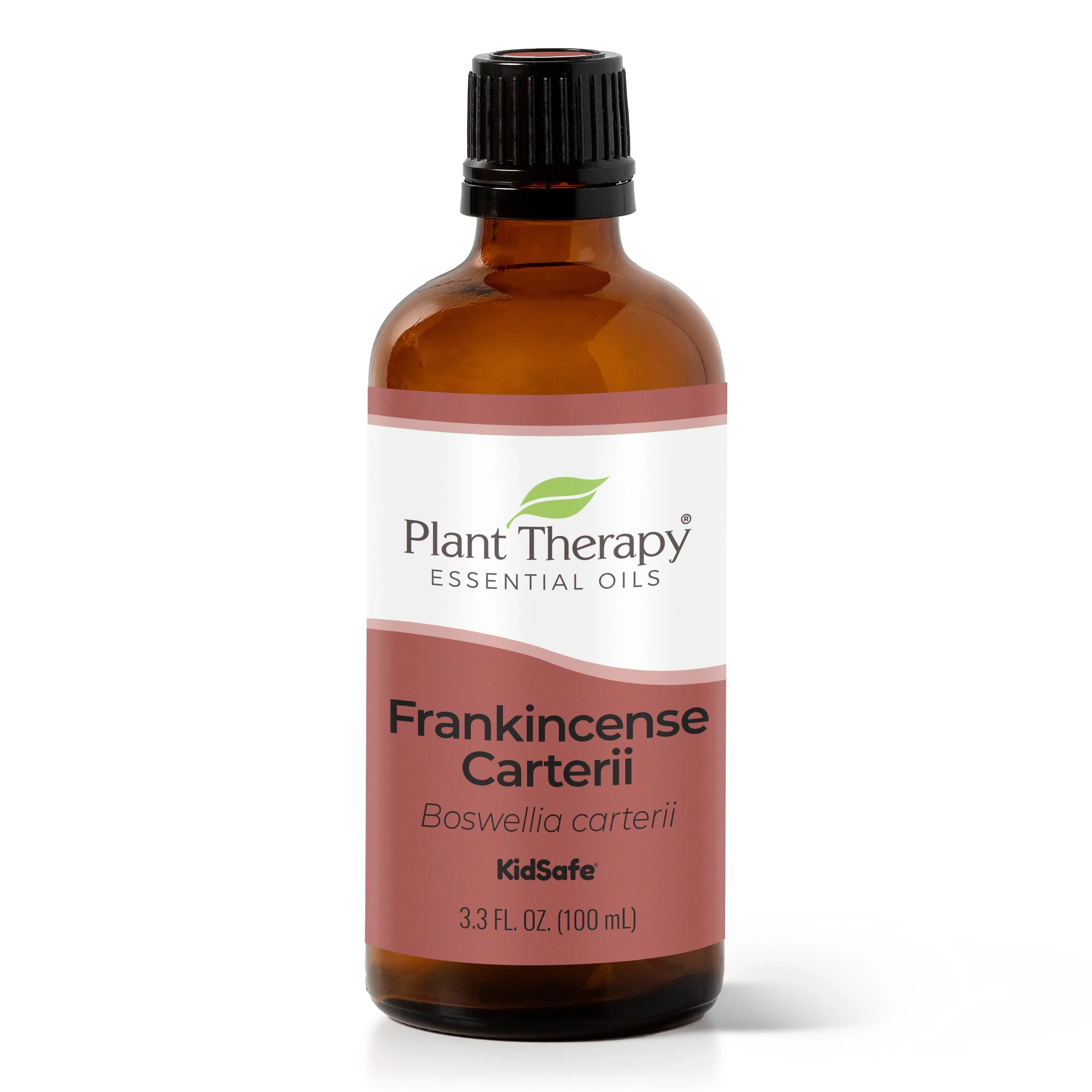Frankincense Carterii Essential Oil - Image 9
