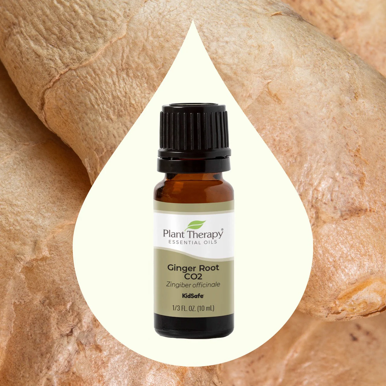 Ginger Root CO2 Extract - Image 2