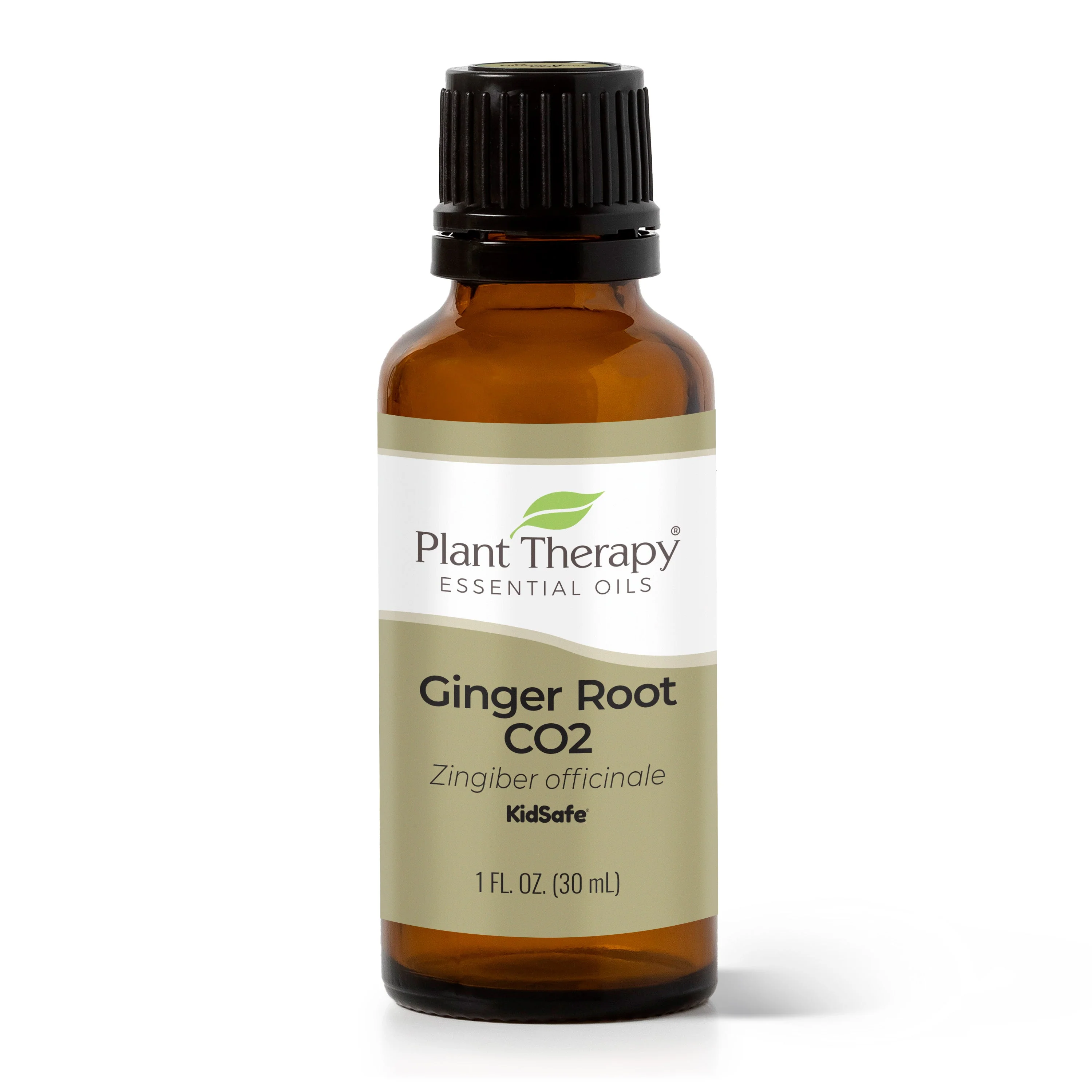 Ginger Root CO2 Extract - Image 6