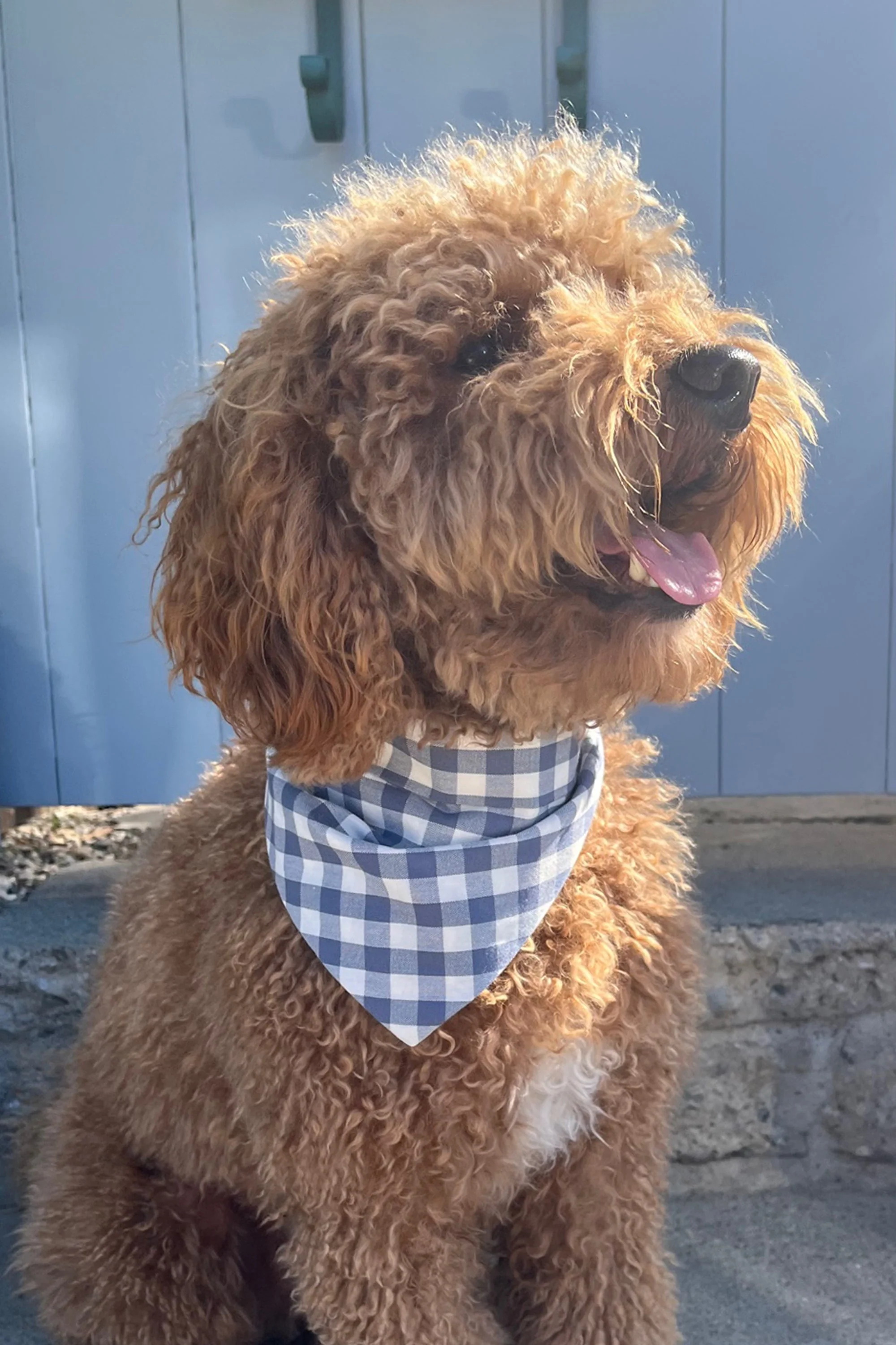 GINGHAM BANDANA by MODERNBEAST - Image 18