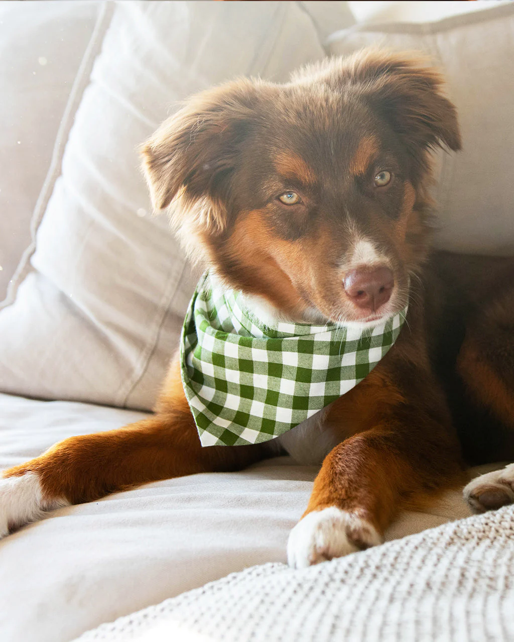 GINGHAM BANDANA by MODERNBEAST - Image 2