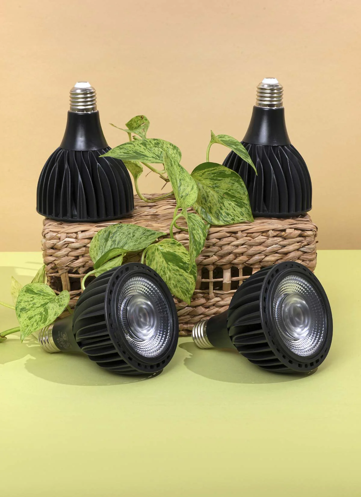 Greenfit™ Kit (Vita 4-Pack) - Image 2