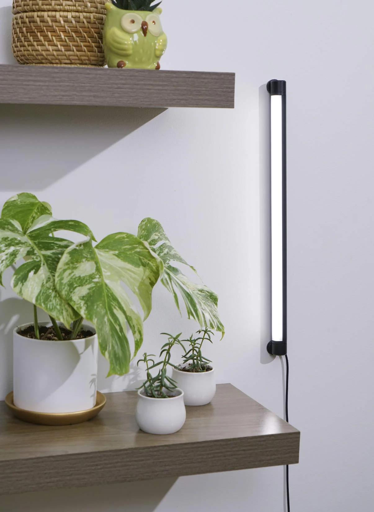 Grove™ LED Grow Light - Image 6