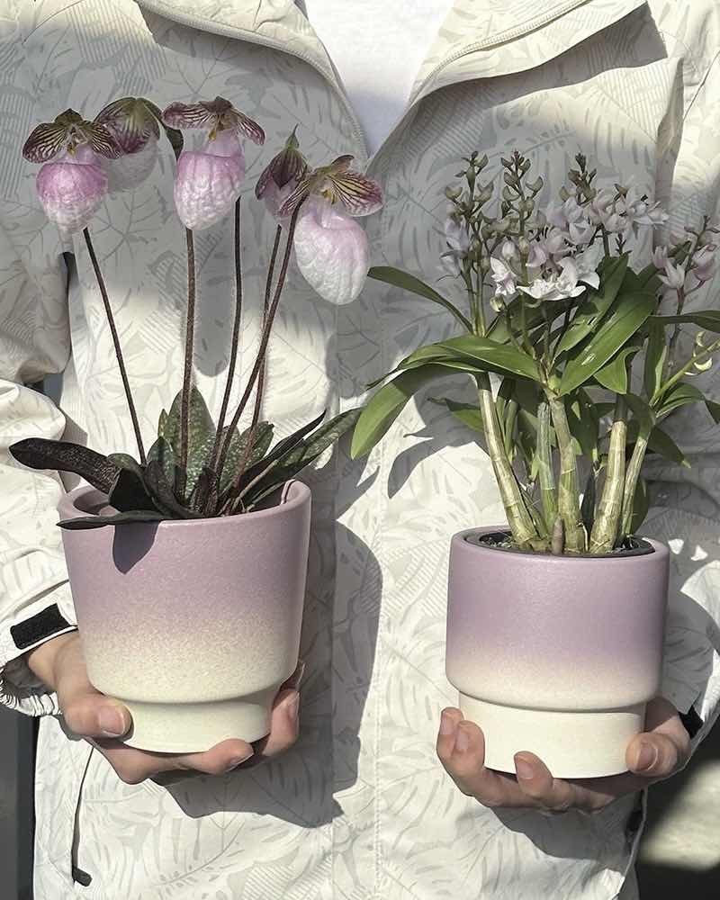 Handmade Macaron Flower Pots, Dopamine Indoor / Outdoor Garden Planter - Image 2