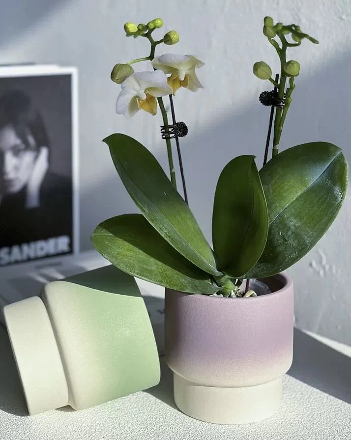 Handmade Macaron Flower Pots, Dopamine Indoor / Outdoor Garden Planter - Image 7