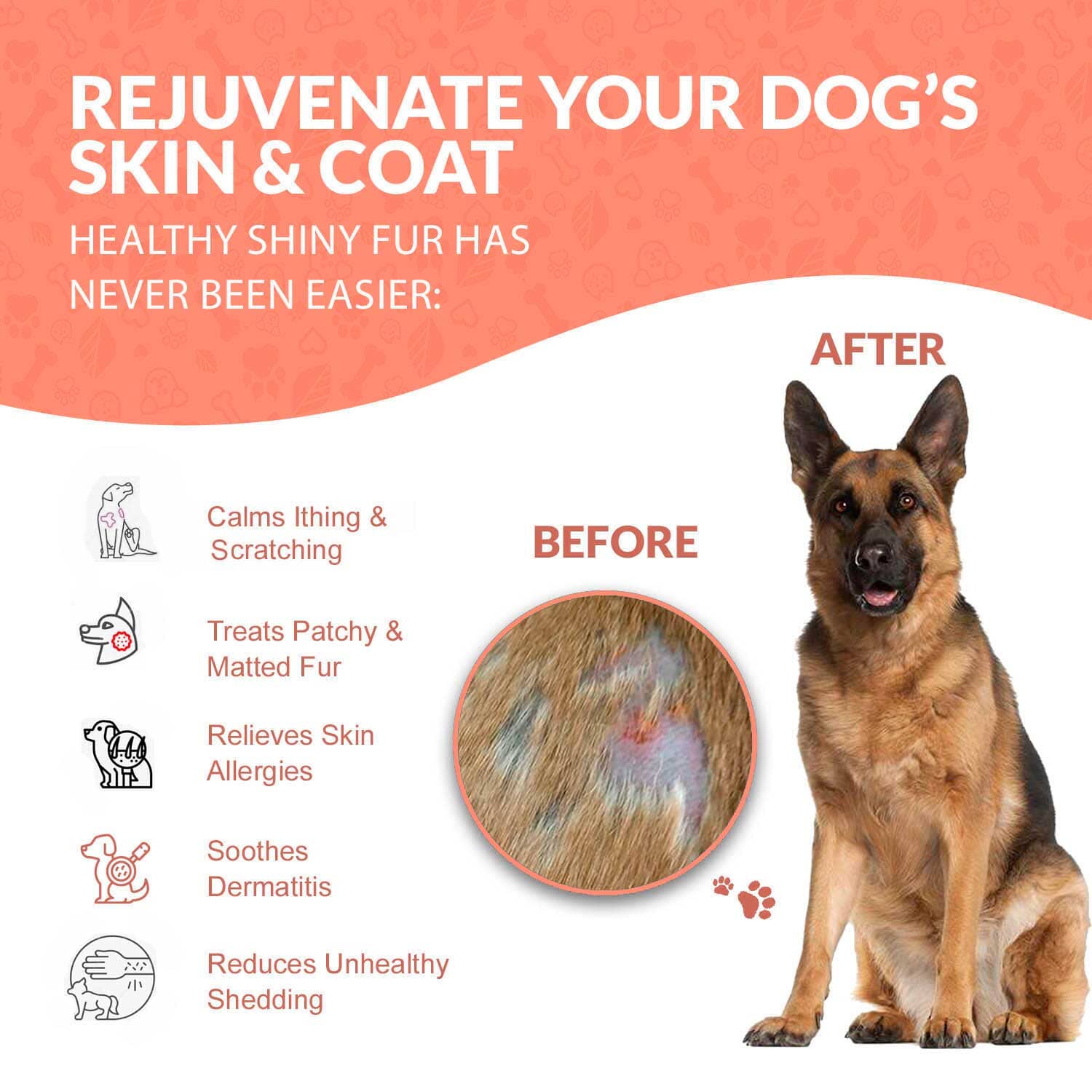 Healthy Skin & Coat for Dogs by BestLife4Pets - Image 3