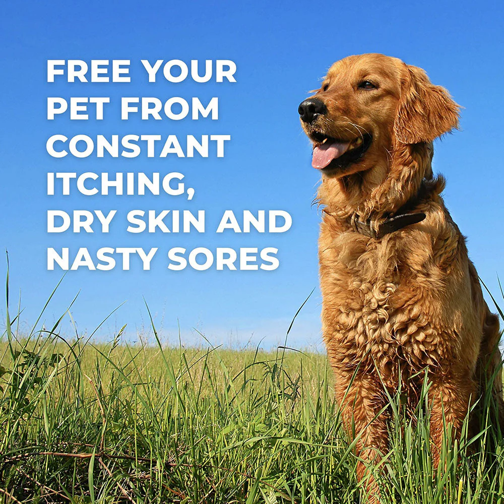 Healthy Skin & Coat for Dogs by BestLife4Pets - Image 4
