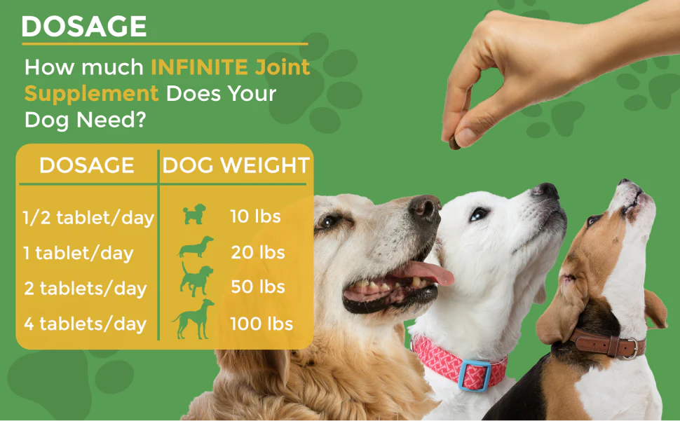 Hip & Joint Advanced Formula - 90 Mobility & Dog Joint Pain Relief Chews - Glucosamine, Chondroitin, MSM, & Turmeric for Superior Joint Health - Image 3