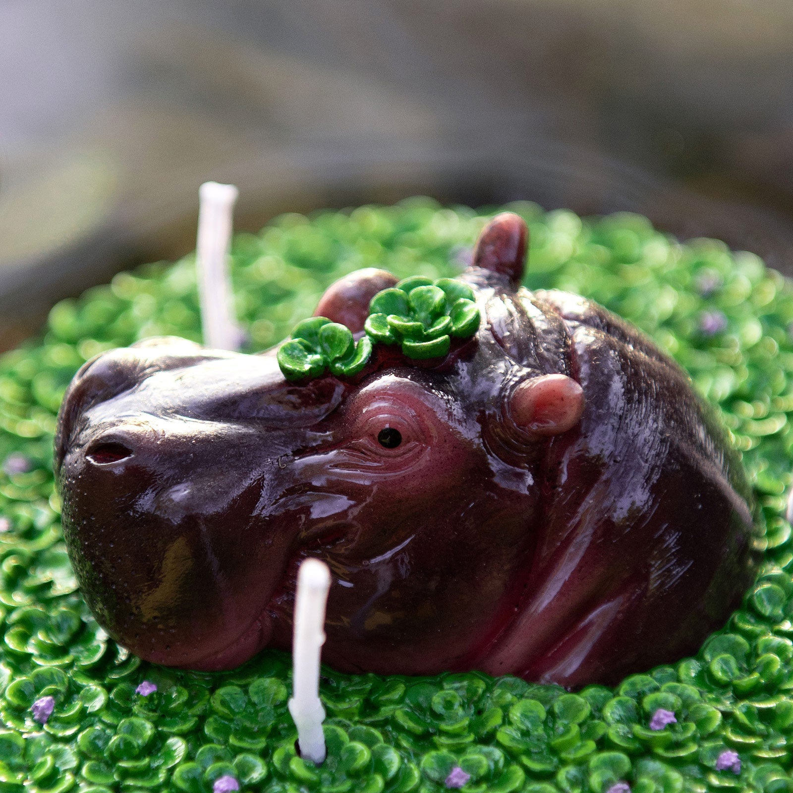Hippo Aromatherapy Scented Candle  Bowl - Image 4