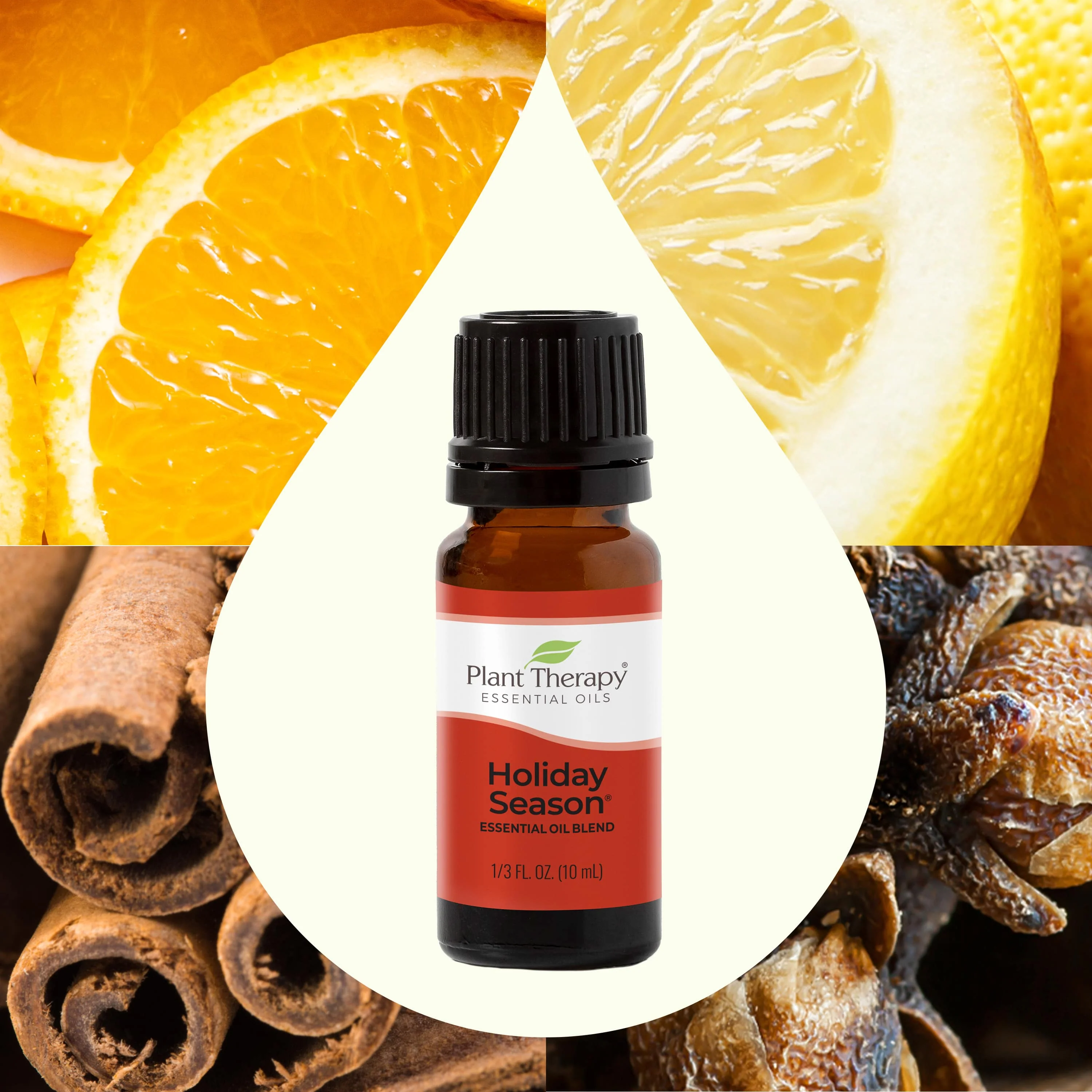 Holiday Season Essential Oil Blend - Image 4
