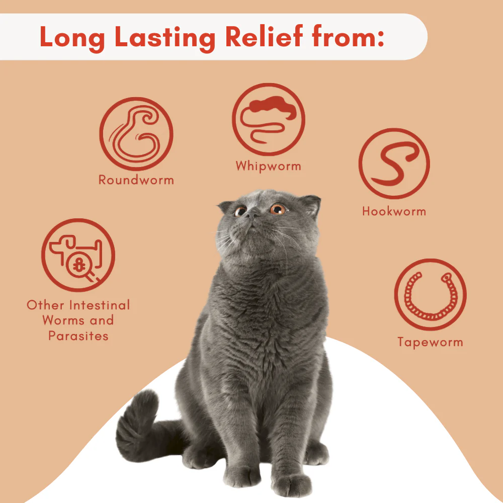 Homeopathic Broad Spectrum Dewormer for Cats & Kittens by BestLife4Pets - Image 6