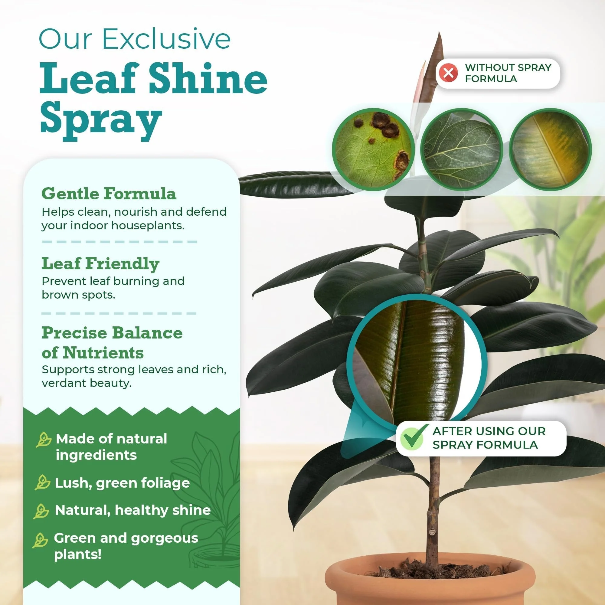 Houseplant Leaf Shine Spray - Leaf Polish, Gloss, and Shine, Perfect for House Plants and Foliage by Houseplant Resource Center - Image 2