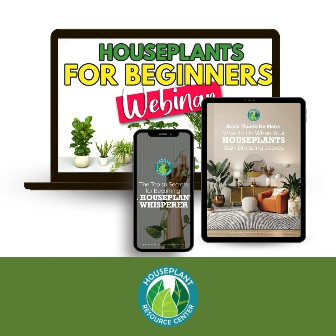 Houseplant Resource Center - Propagation Promoter by Houseplant Resource Center - Image 6