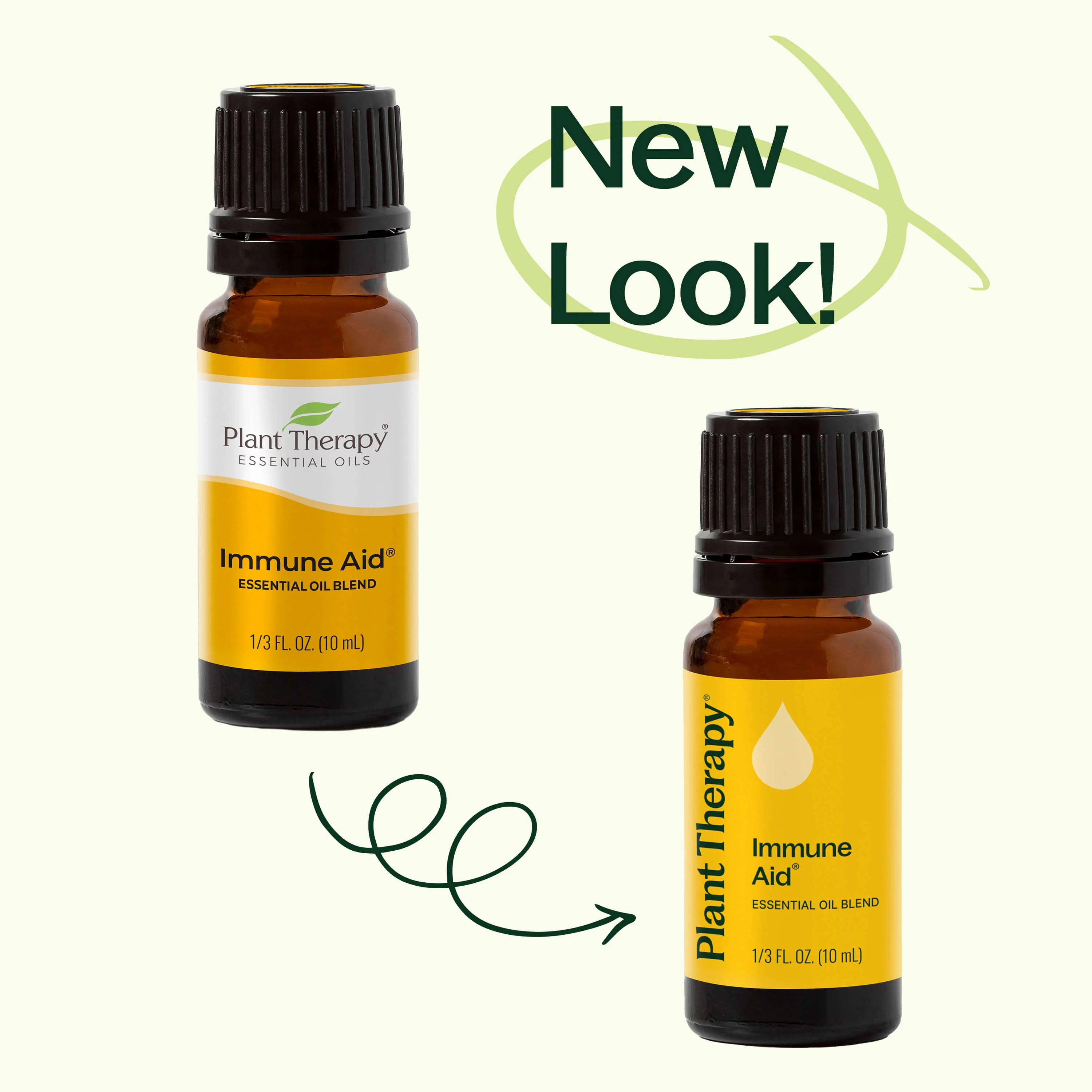 Immune Aid Essential Oil Blend - Image 5