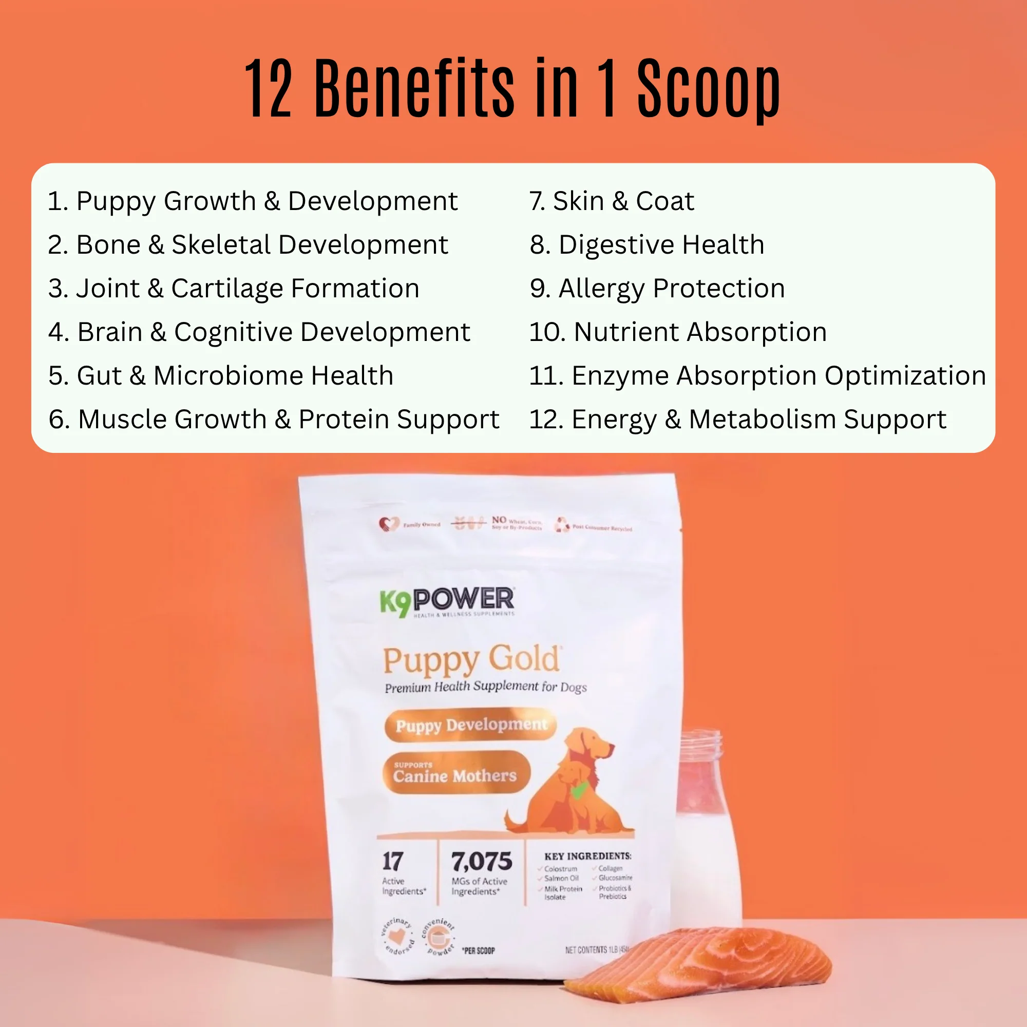 K9 Power - Puppy Gold® - Image 2