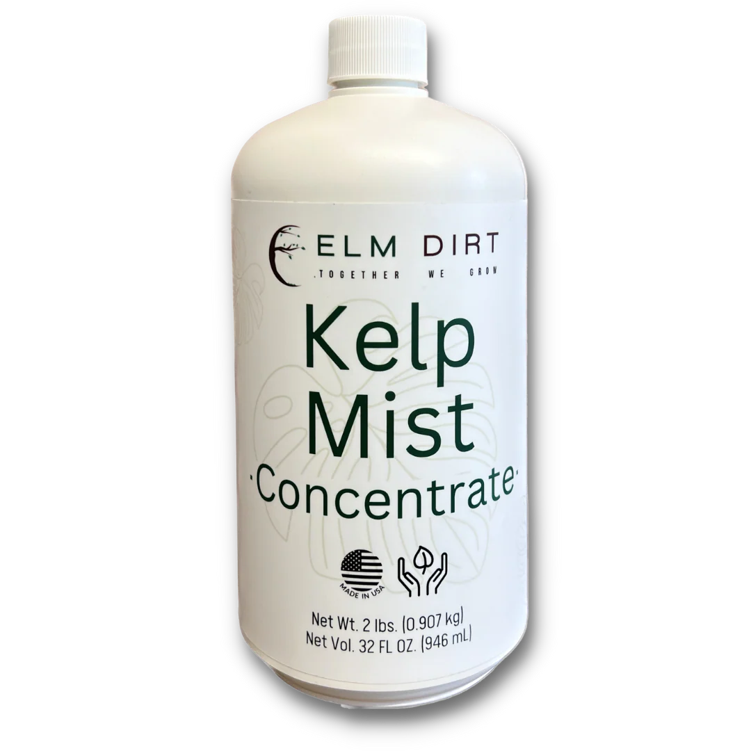 Kelp Mist by Elm Dirt - Image 7