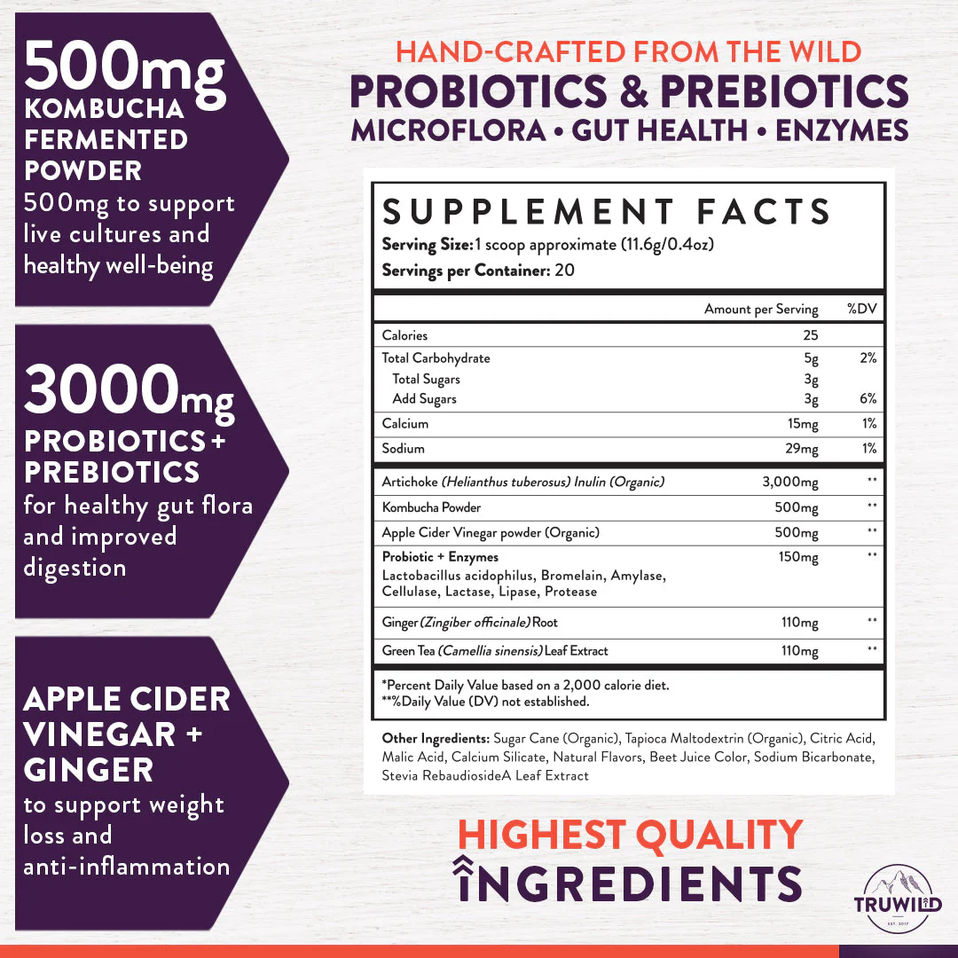 Kombucha Powder - Gut Health - Image 3