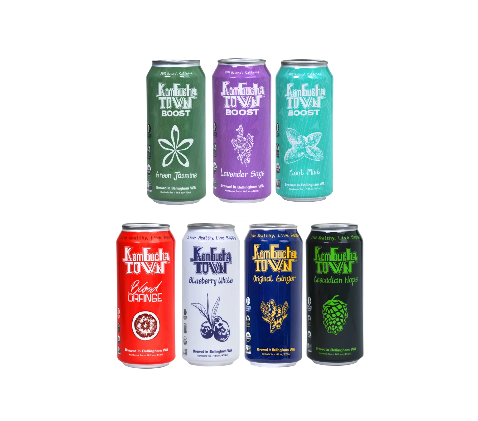 Kombucha Variety Pack by KombuchaTown