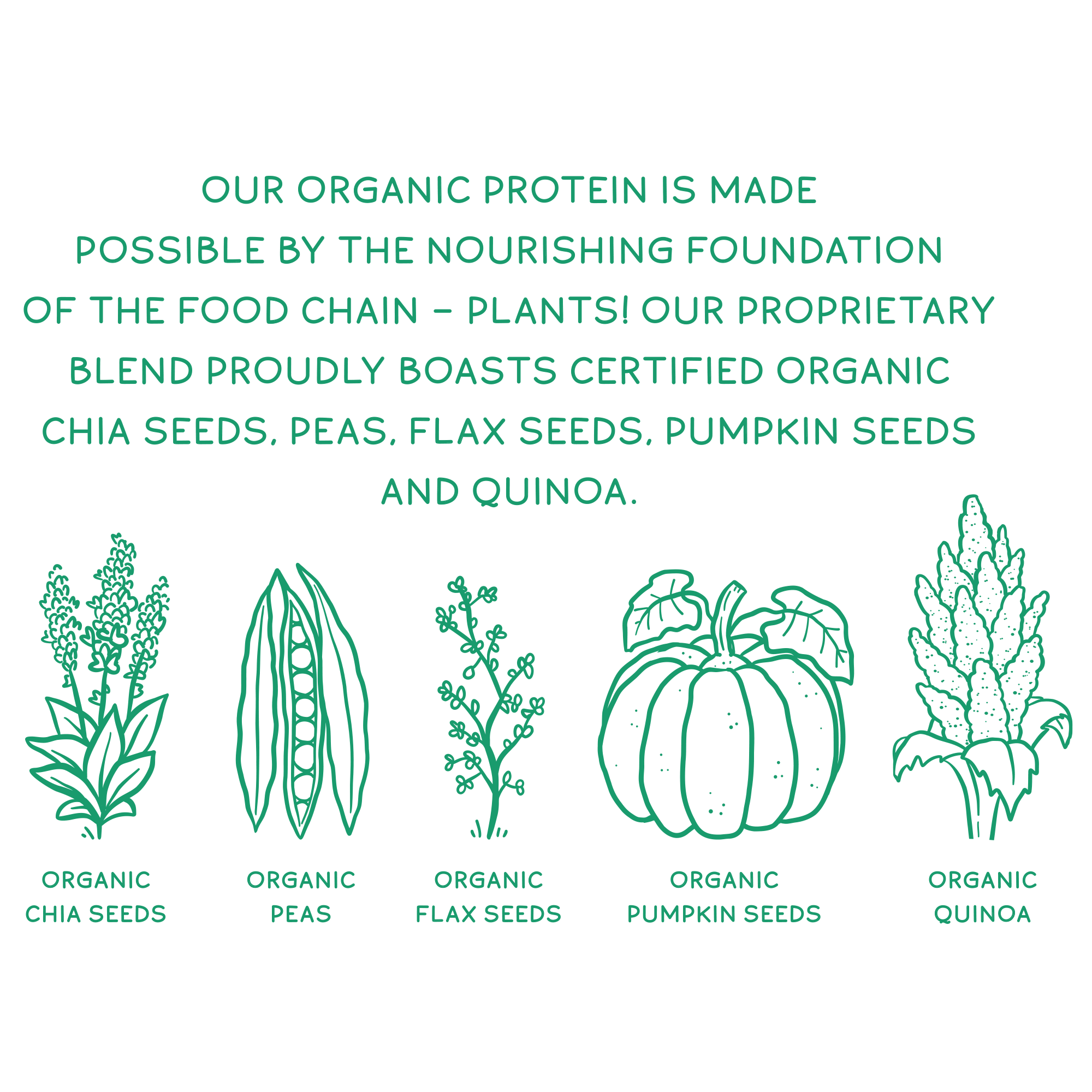 KOS Organic Plant Protein, Unflavored & Unsweetened, 28 Servings by KOS.com - Image 10