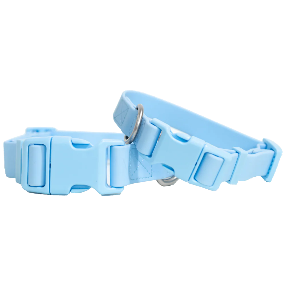 Large Dog Collar - Image 4