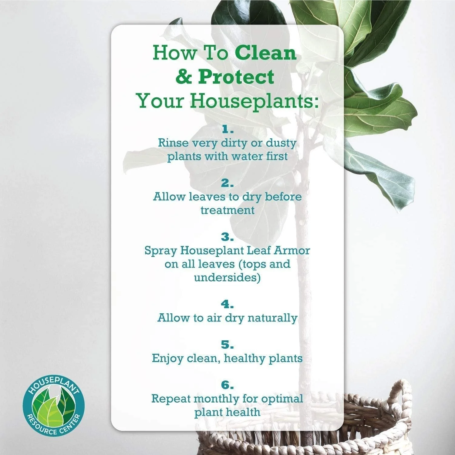Leaf Armor by Houseplant Resource Center | Natural Indoor Plant Leaf Protectant and Shine Spray for Fiddle Leaf Fig, Ficus Audrey, Monstera and Other Houseplants (8 Fluid Ounces) by Houseplant Resource Center - Image 7