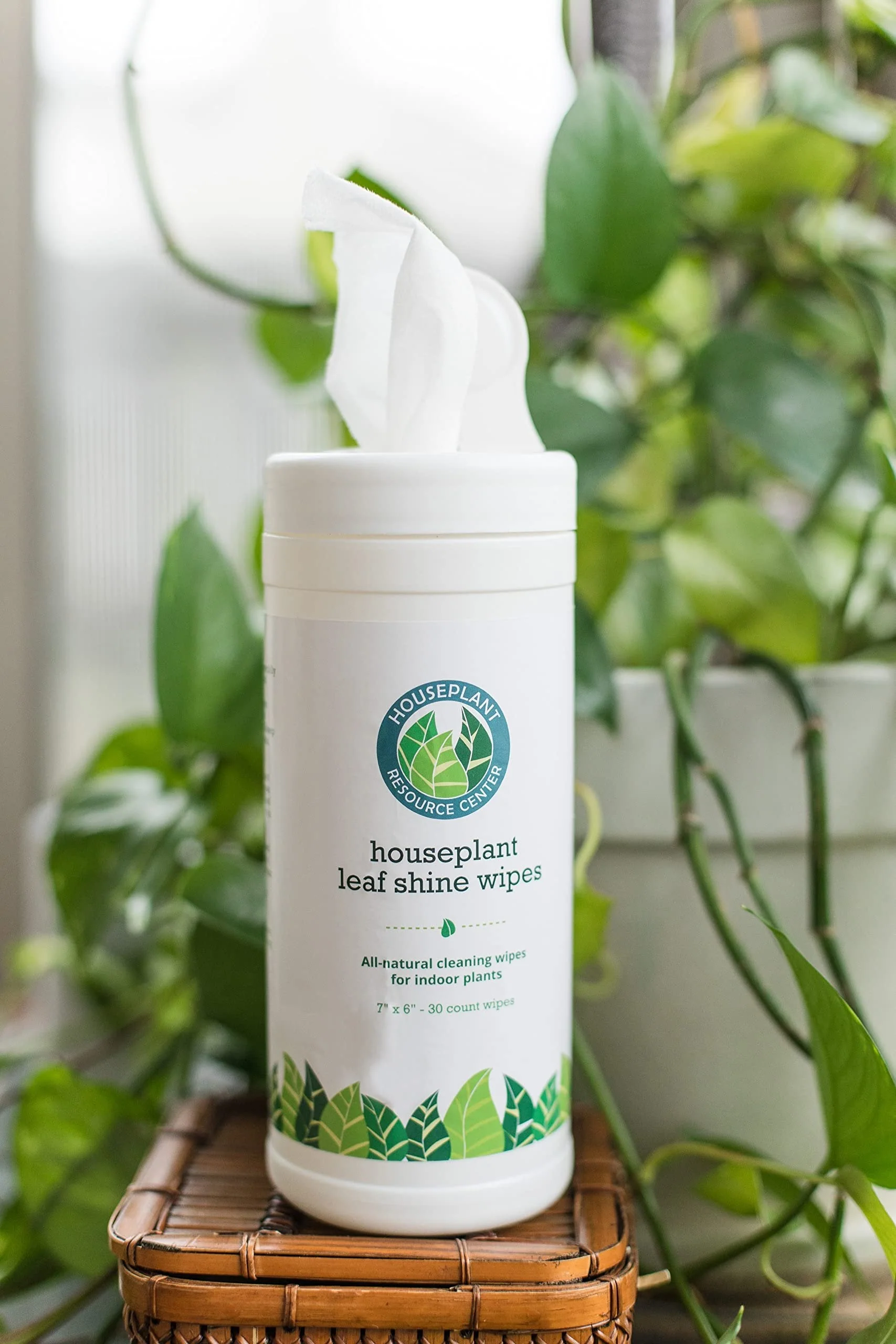 Leaf Cleaner Wipes for House Plants - Sparkling Leaf Shine for Indoor Plants - Houseplant Resource Center Plant Cleaning Wipes for Leaves - Root and Plant Duster Wipes (30 Count) by Houseplant Resource Center - Image 4
