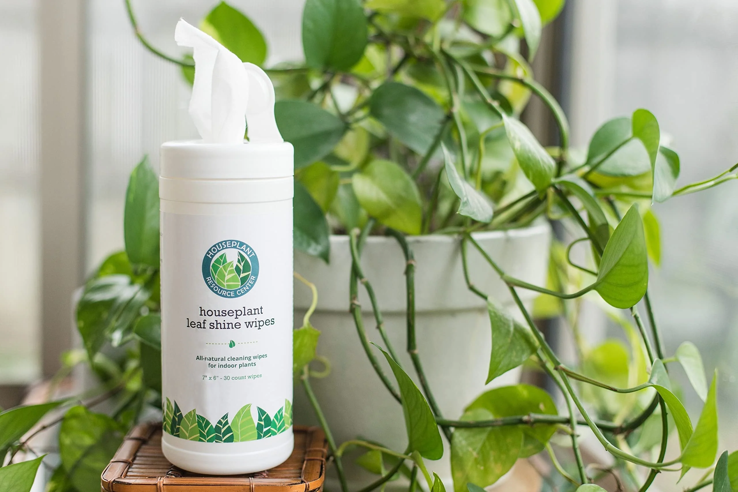 Leaf Cleaner Wipes for House Plants - Sparkling Leaf Shine for Indoor Plants - Houseplant Resource Center Plant Cleaning Wipes for Leaves - Root and Plant Duster Wipes (30 Count) by Houseplant Resource Center - Image 6