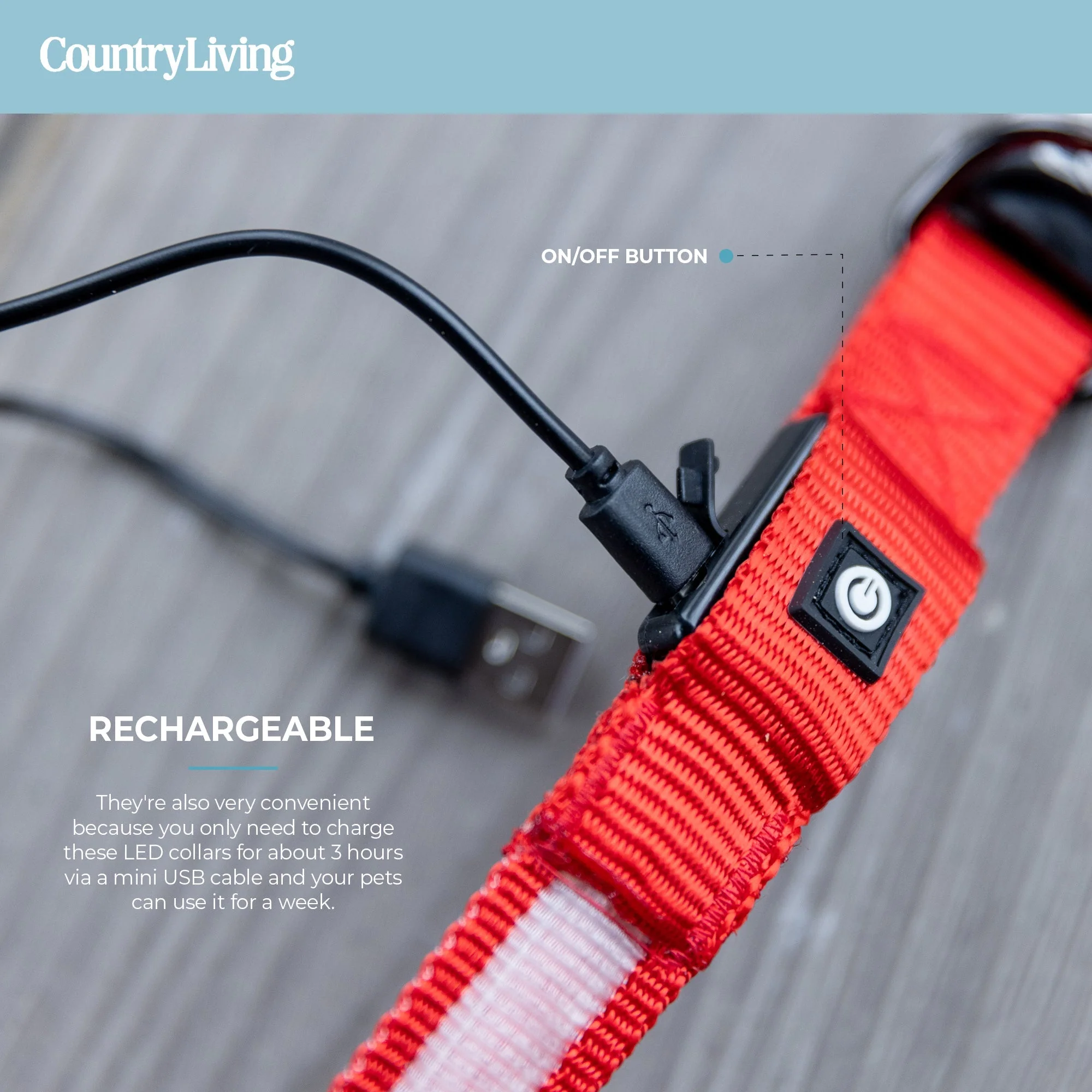 LED Dog Collar - Red - Image 6