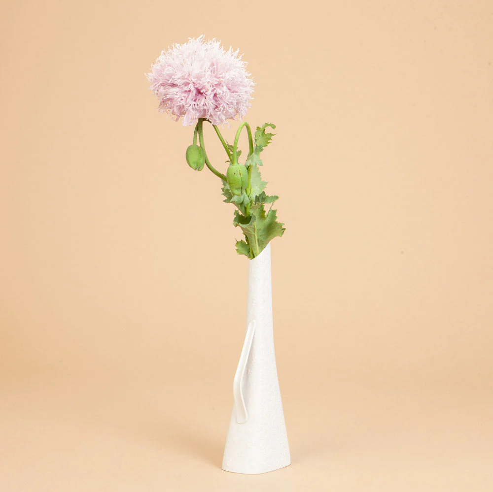 Libra Seed Bundle - Image 6