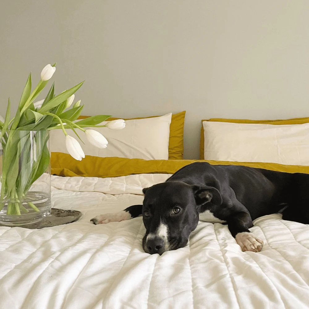 Linen+ Quilted Coverlet - Image 4