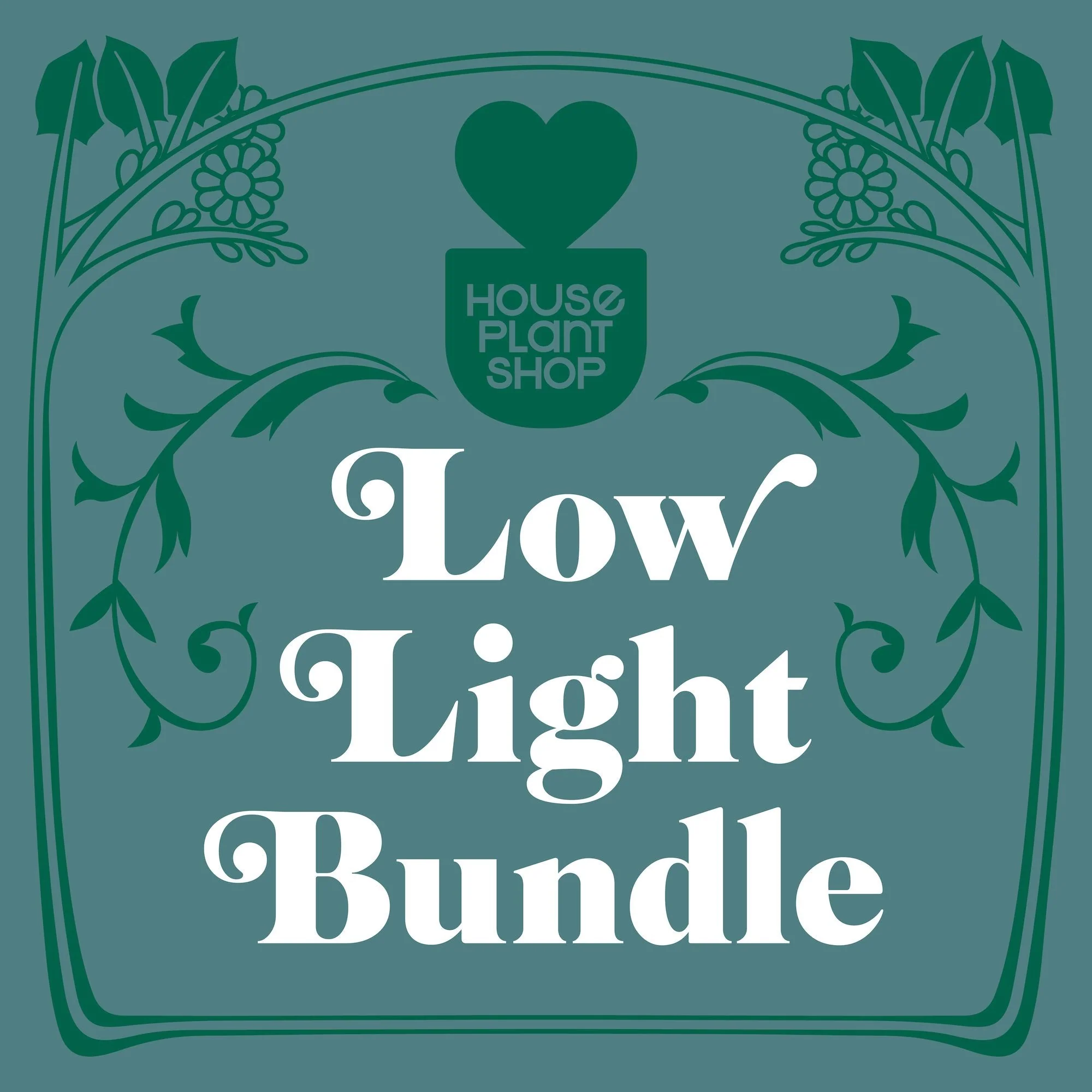 Low Light Bundle - Image 2