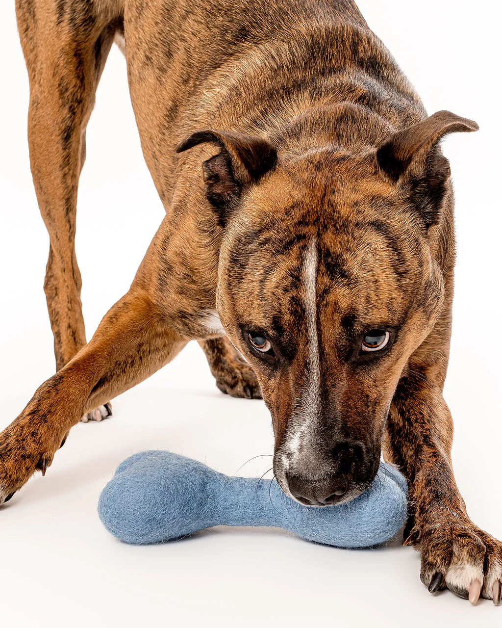 MB WOOLBONE by MODERNBEAST - Image 3