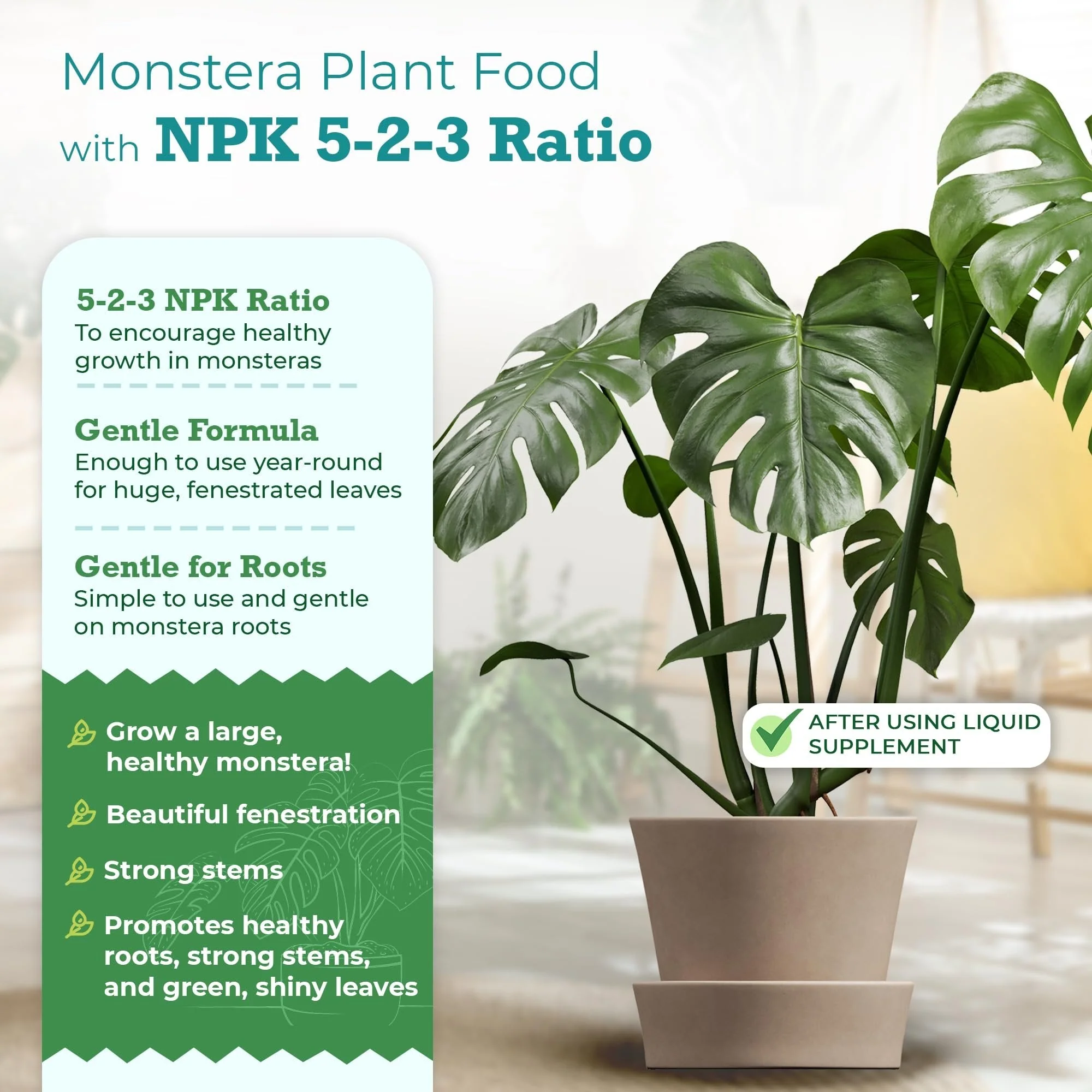 Monstera Plant Food by Houseplant Resource Center | Premium Liquid Fertilizer (5-2-3 NPK) - Ideal for Monstera, Pothos, and Snake Plants (8 Fluid Ounces) by Houseplant Resource Center - Image 2